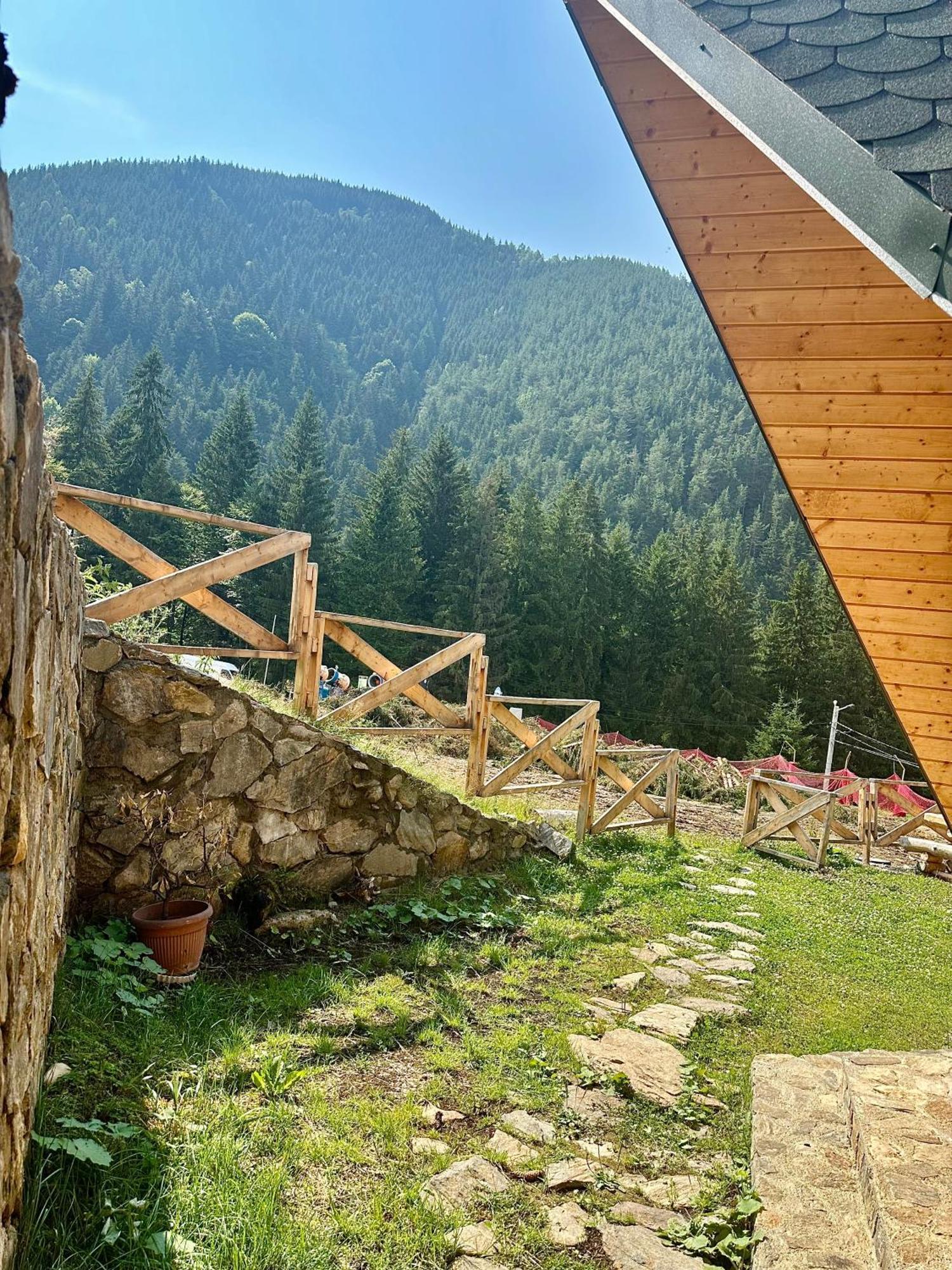 Domul Poarta Retezat Villa Rausor Exterior photo
